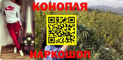 дмт Будённовск