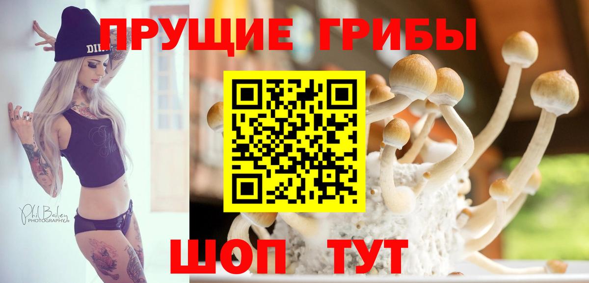 Псилоцибиновые грибы мухоморы Карасук